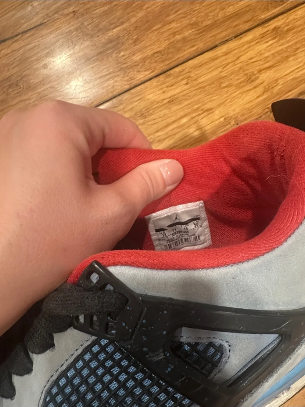Jordan these 4s